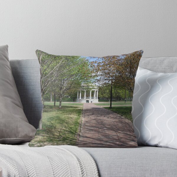 Item preview, Boston Commons designed and sold by lighthousegrphx.
