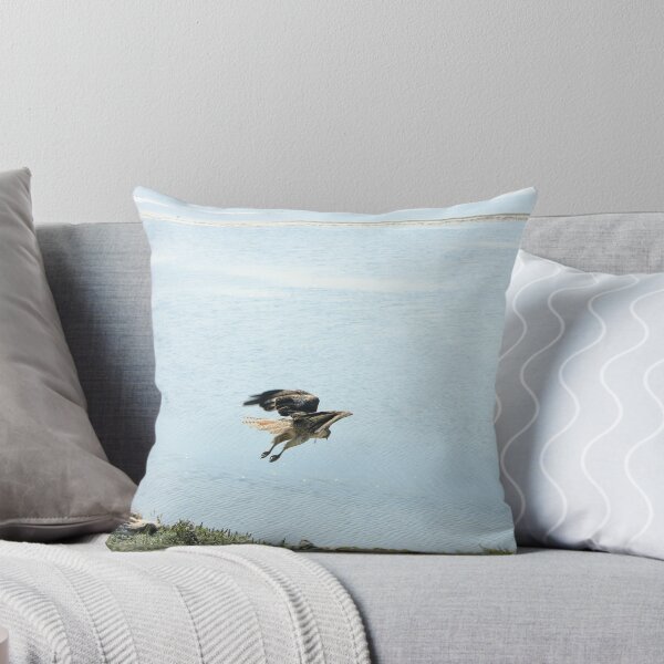 Item preview, Juvenile Coopers Hawk at the Wetlands 2 designed and sold by arr333.