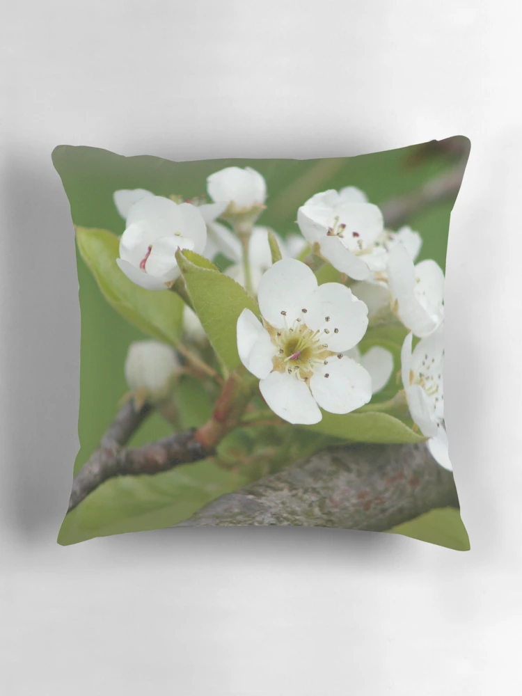 Thumbnail 3 of 4, Pillow, Fresh designed and sold by RHMack.