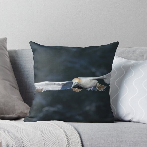 Item preview, Gannet  designed and sold by johnritchie.
