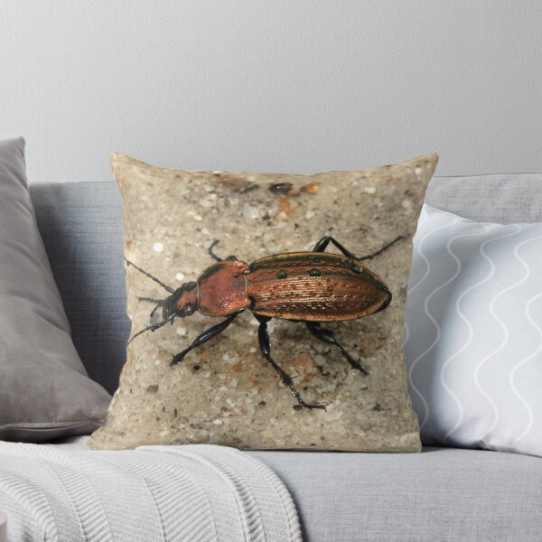 Item preview, Carabus Arvensis designed and sold by MendipBlue.