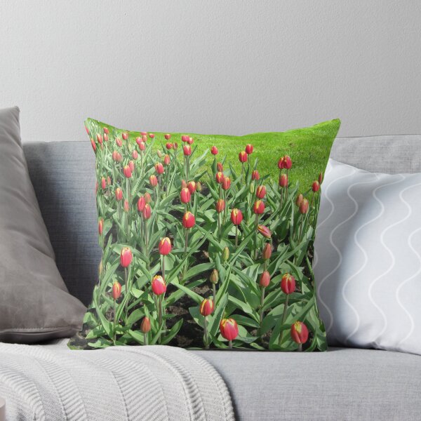 Item preview, Hotheads - Fiery Young Tulips in the Keukenhof Gardens designed and sold by Kathryn Jones.