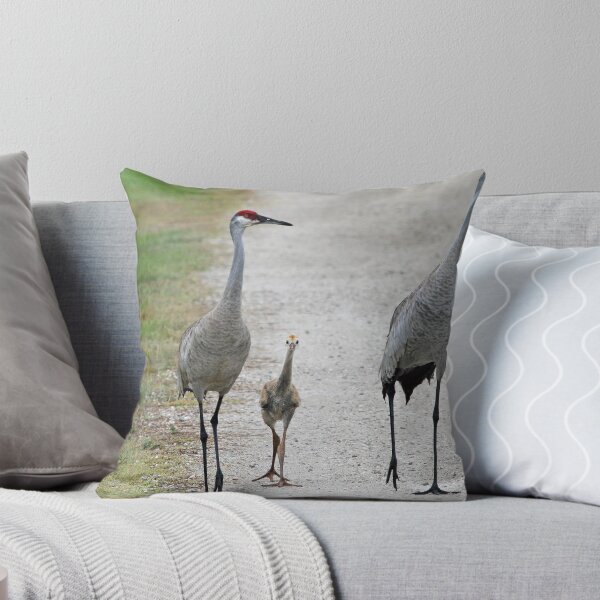 Item preview, A classic american family! designed and sold by Anthony Goldman.