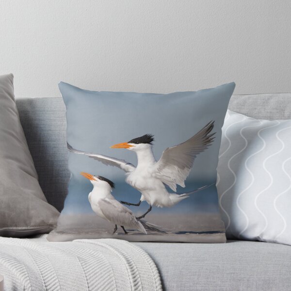 Item preview, Nice Guys Finish Last - Royal Terns designed and sold by Daniel Cadieux.