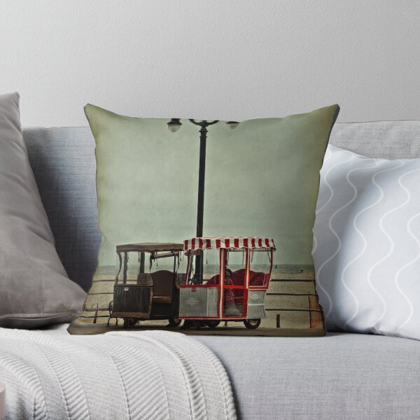 Wanna Ride? Throw Pillow