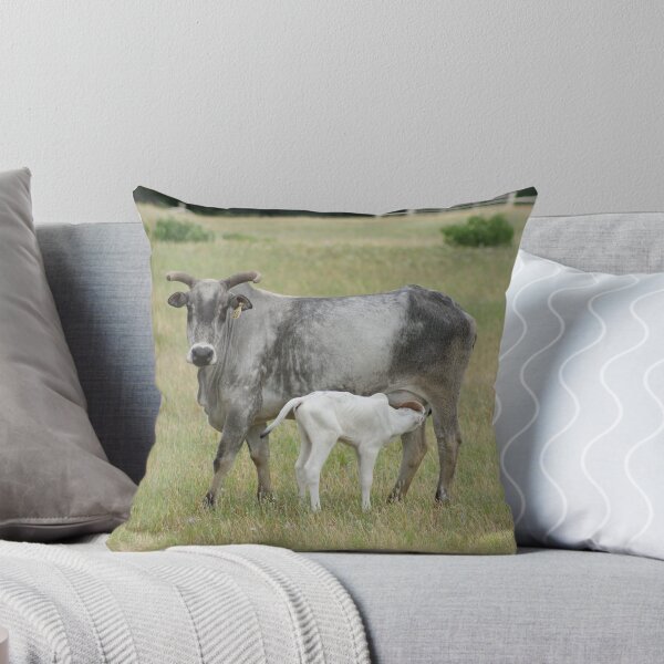 Item preview, Miniature Brahman  designed and sold by TxGimGim.