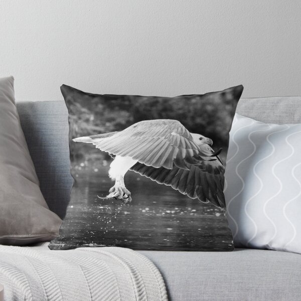 Item preview, Sea Eagle 53 designed and sold by John Van Den Broeke.