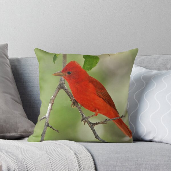 Artikelvorschau, Summer Tanager beste Seite entworfen und verkauft von levipie.