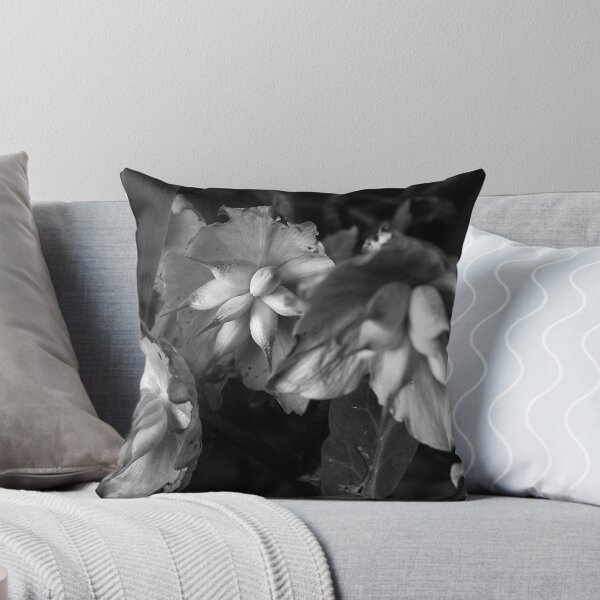 Item preview, Hellebores Seed Pods designed and sold by rosie320d.