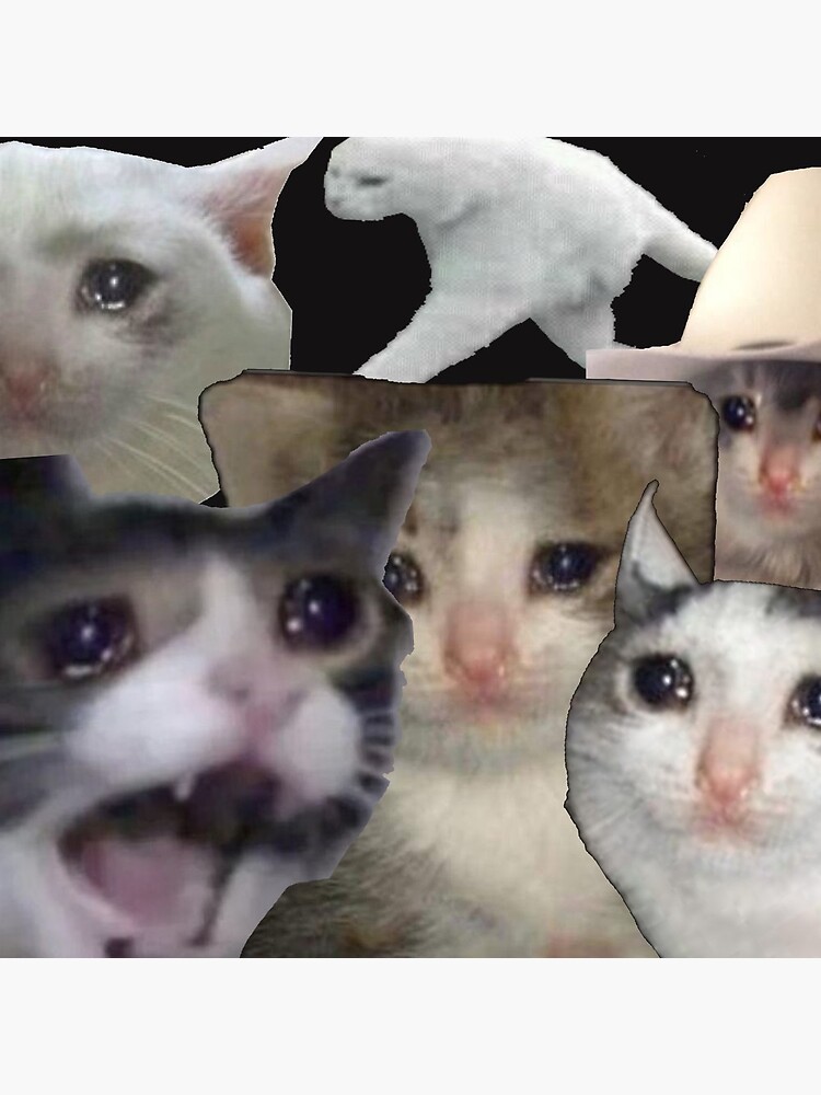 Triste Gatos Llorando Meme - Abril Wallpaper