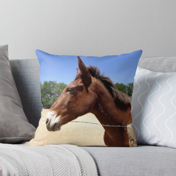 Item preview, Mule Days designed and sold by MARILYN DIAZ.