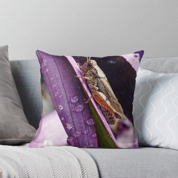 Item preview, Grasshopper in the Rain designed and sold by DarthIndy.