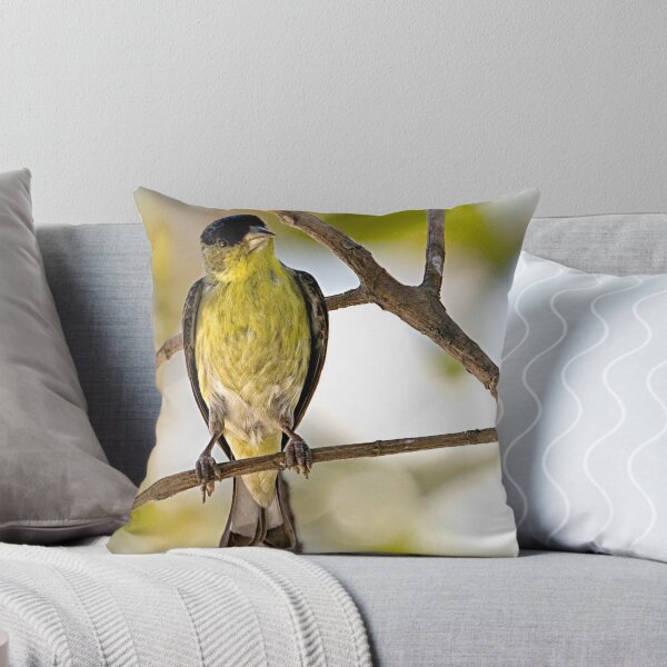 Item preview, Female Lesser Goldfinch designed and sold by Michael Moss Photography.