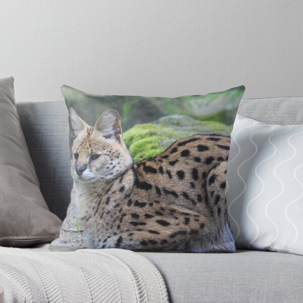 Item preview, Serval designed and sold by DutchLumix.