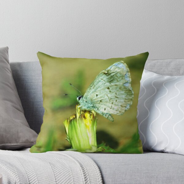 Item preview, Celestrina designed and sold by Sian Houle.