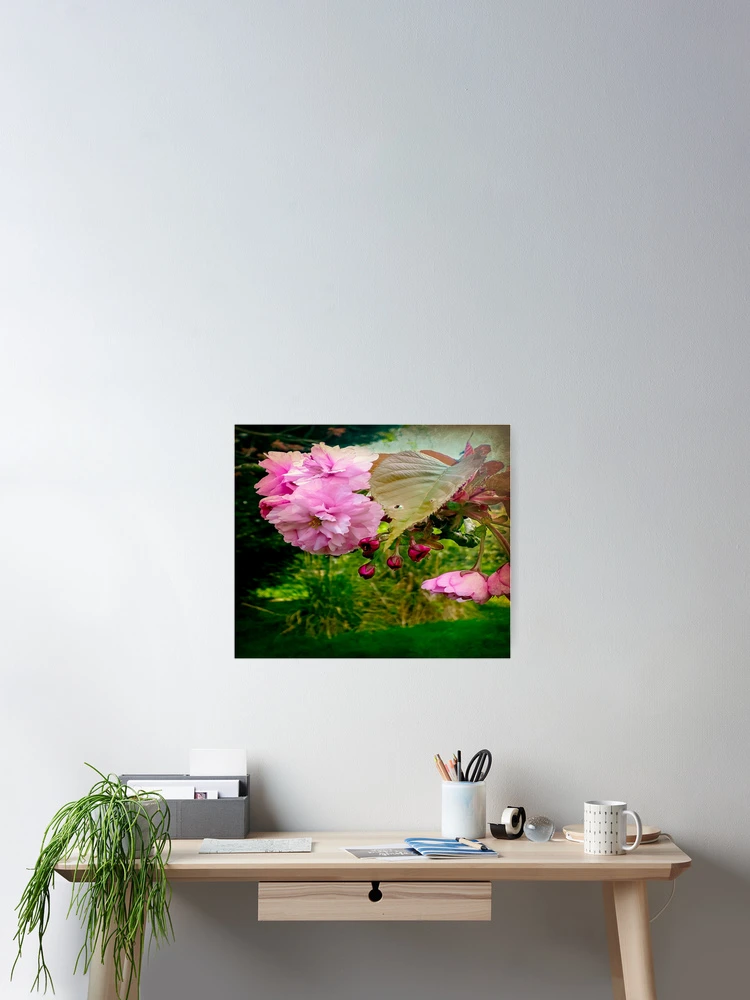 Thumbnail 2 of 3, Poster, Springtime designed and sold by ScenicViewPics.