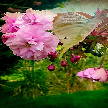 Artwork thumbnail, Springtime by ScenicViewPics