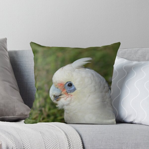 Artikelvorschau, Hello Birdie entworfen und verkauft von TheaShutterbug.