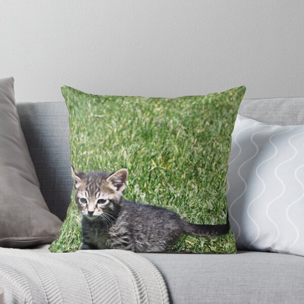 Aperçu de l'œuvre Ratchet le chaton créée et vendue par Jewel Pfaffroth.