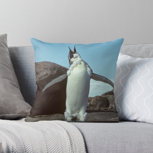 Oh What a Beautiful Day Throw Pillow