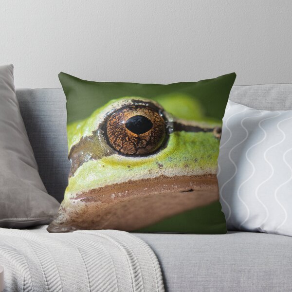 Frog's Eye Throw Pillow