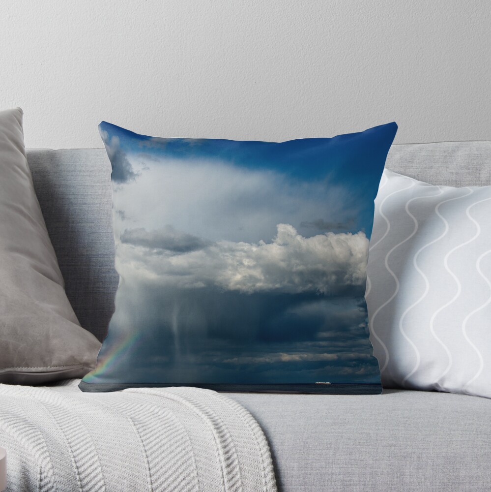 Ahead of the Storm Throw Pillow