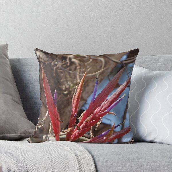 Item preview, Epiphyte II - Epifita designed and sold by Bernhard Matejka.