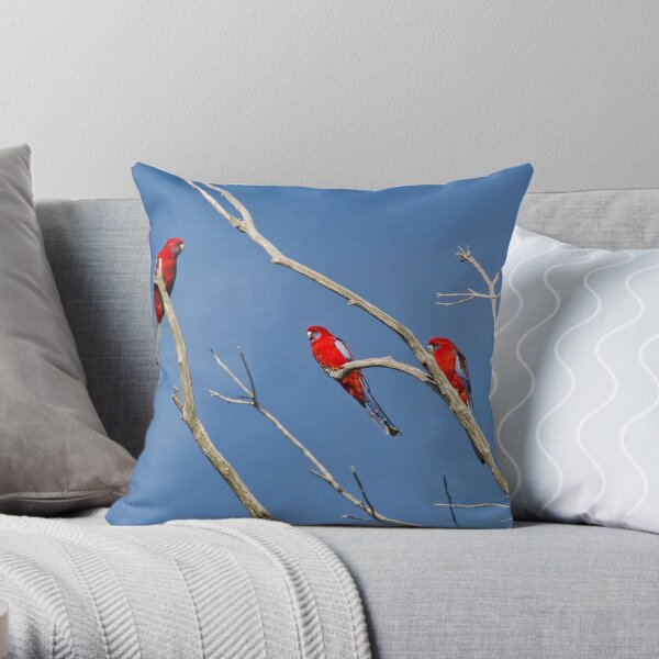 Crimson Rosella Throw Pillow