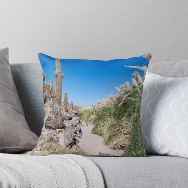 Item preview, Rio Vilama, San Pedro de Atacama, Chile designed and sold by Travelimages.com.au.