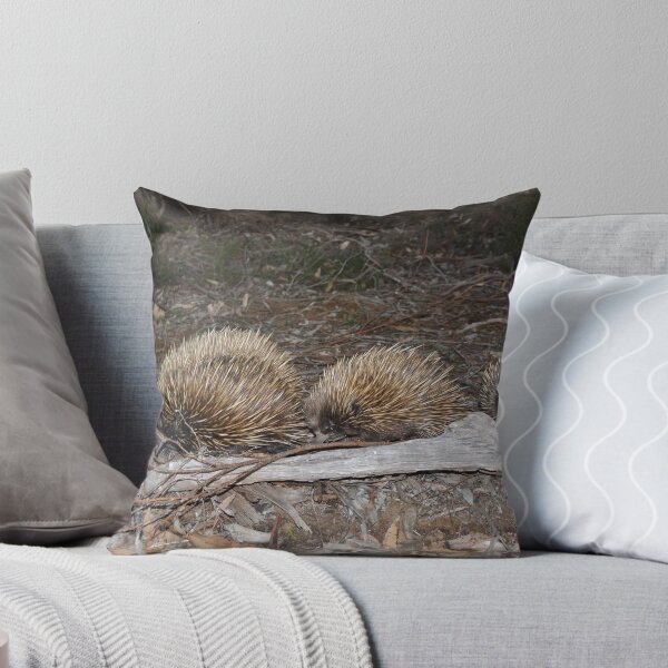 Item preview, Echidna  March designed and sold by zeebot.