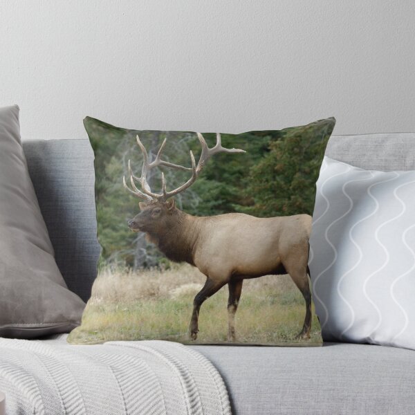 Item preview, Mr Majestic designed and sold by Bob Christopher.