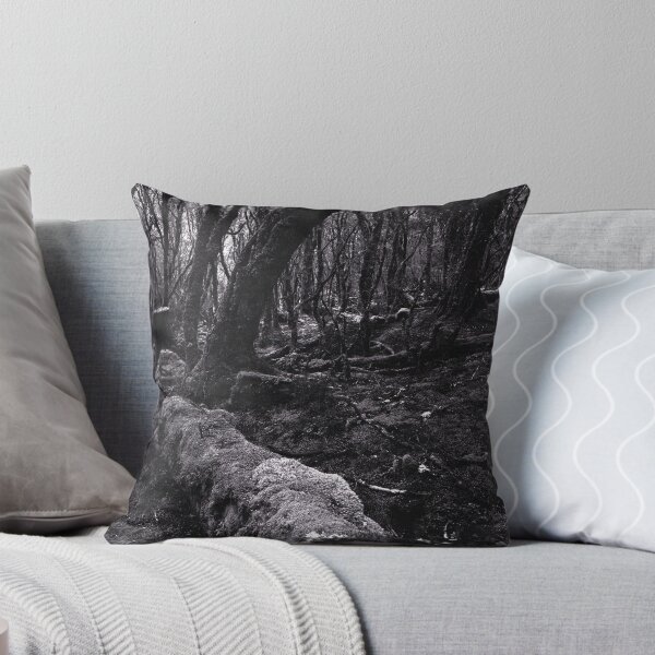 Artikelvorschau, "Enchanted Forest" ∞ Cradle Mountain, Tasmania - Australia entworfen und verkauft von Jason Asher.