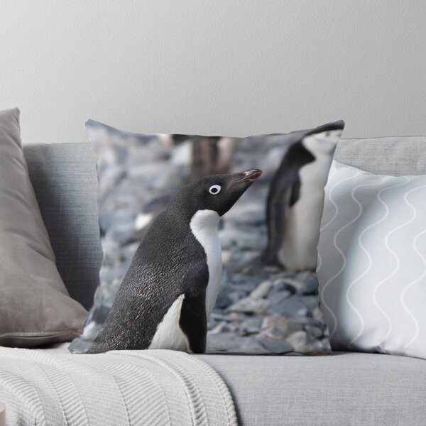 Item preview, Adelie penguin stare designed and sold by geophotographic.
