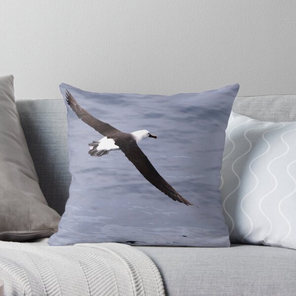 Item preview, Albatross designed and sold by geophotographic.