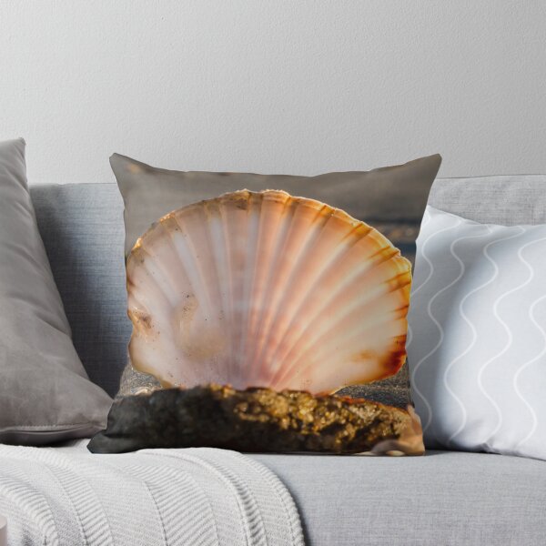 Aperçu de l'œuvre scallop shell créée et vendue par Anne Scantlebury.
