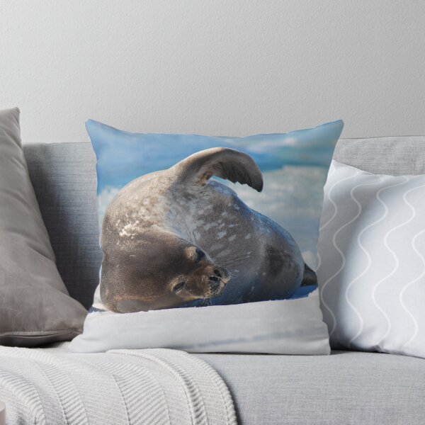 Artikelvorschau, A Weddell Seal - Antarctica entworfen und verkauft von cactus82.