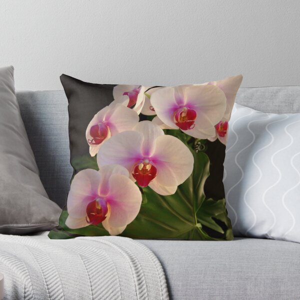 ***DELICATE GRACE ~ ORCHID PHALAENOPSIS*** Throw Pillow