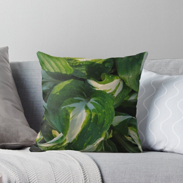 Item preview, Cool as a Cucumber designed and sold by Sandra Fortier.