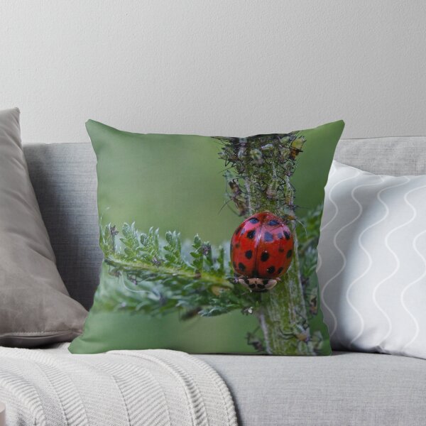 Item preview, Attack Of The Aphids 2 designed and sold by starwarsguy.