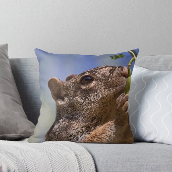 Item preview, Grabbing Lunch designed and sold by Sue  Cullumber.