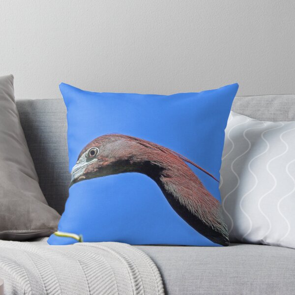 Artikelvorschau, Baby little blue heron`s mommy or daddy! entworfen und verkauft von Anthony Goldman.
