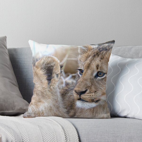 Item preview, Brothers Forever designed and sold by Michael Moss Photography.