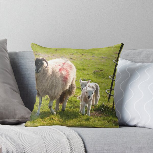 Item preview, Spring designed and sold by LeightonM1.
