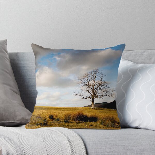 Item preview, Tree from Lindinny Woods/Southern Upland Way, Scottish Borders designed and sold by Iain MacLean.