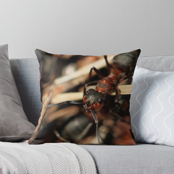 Item preview, ant macro designed and sold by JamesRatchford.