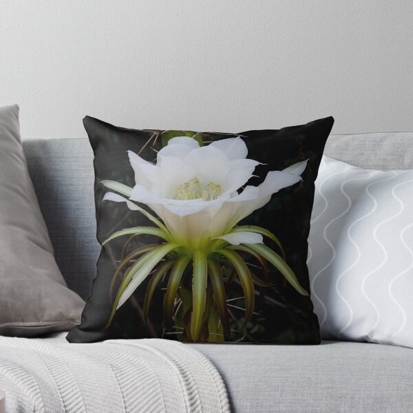 Item preview, White Echinopsis Flower  designed and sold by Saija  Lehtonen.