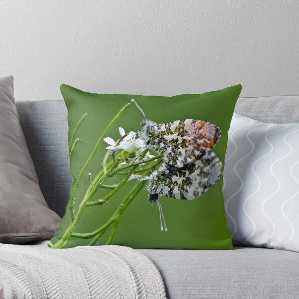 Item preview, Orange tip butterflies designed and sold by Paul Spear.