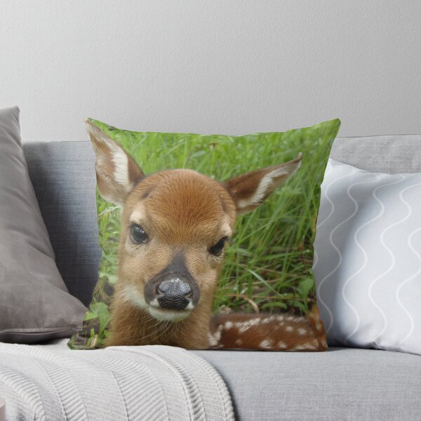Item preview, Newborn Whitetail Fawn 2012 designed and sold by Molly  Kinsey.