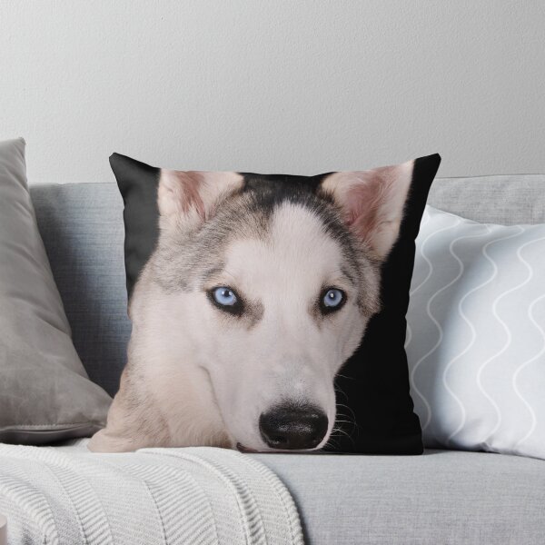 Aperçu de l'œuvre Handsome Husky ! créée et vendue par rhian mountjoy.