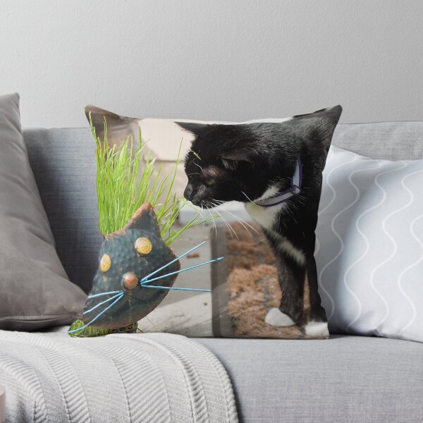 First Introduction Throw Pillow